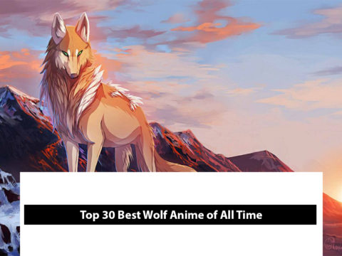 Top 30 Best Wolf Anime Of All Time